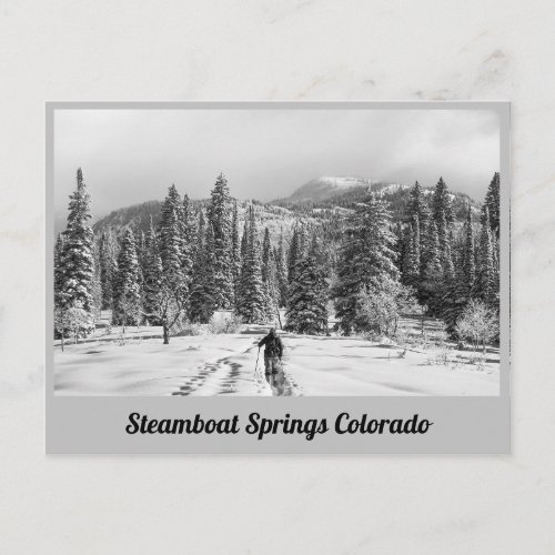 Steamboat Springs _ Colorado Postcard