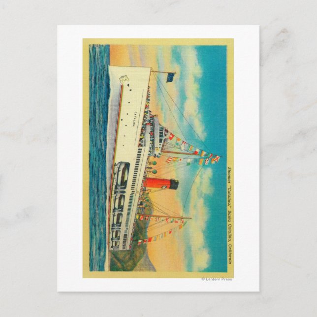 Steamer "Catalina" at Santa Catalina Island Postcard (Front)