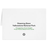 Steaming Bison - Card (Back Horizontal)