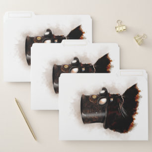Steampunk cat file folder