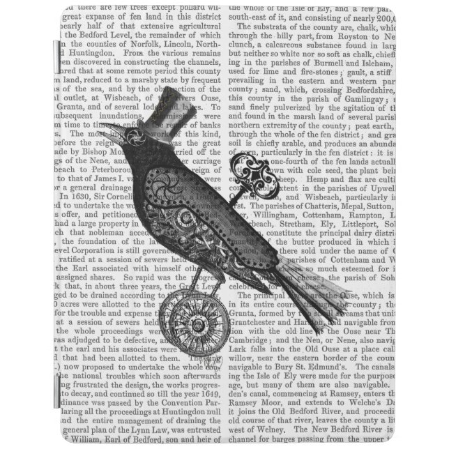 Steampunk Crow 2 iPad Air Cover (Front)