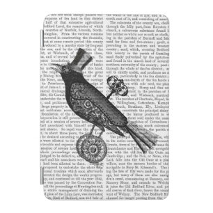 Steampunk Crow 2 iPad Mini Cover