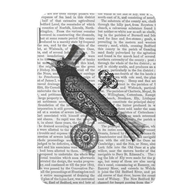Steampunk Crow 2 iPad Mini Cover (Front)