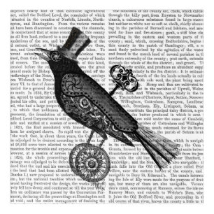 Steampunk Crow Acrylic Print