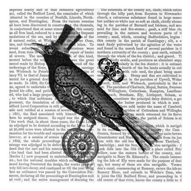 Steampunk Crow Acrylic Print (Front)
