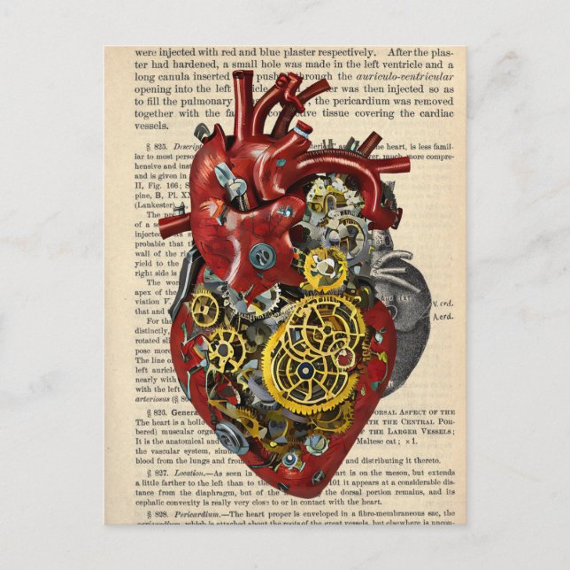 Steampunk Human Heart Anatomy Art Poster Postcard (Front)
