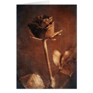 Steampunk Rose Cards