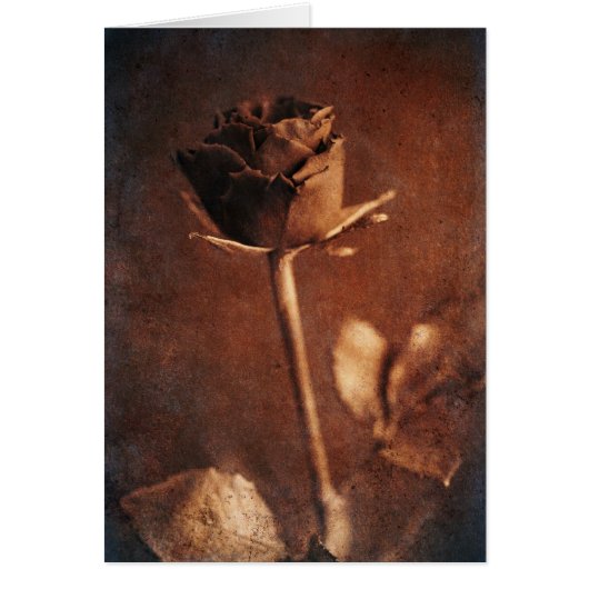 Steampunk Rose Cards (Front)