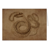 Steampunk Snake Skeleton (Front Horizontal)