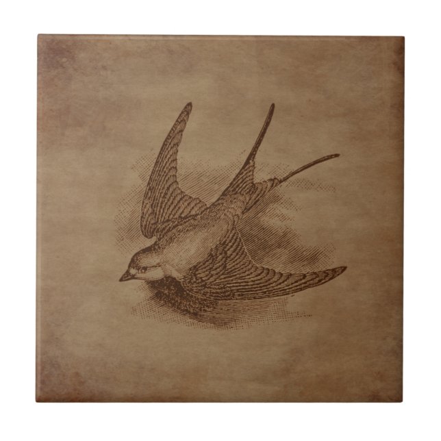 Steampunk Vintage Bird Tile (Front)