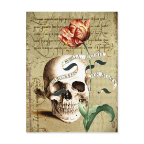 Steampunk Vintage Skull Floral Writing Postcard