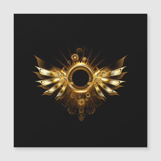 Steampunk wings (Front)