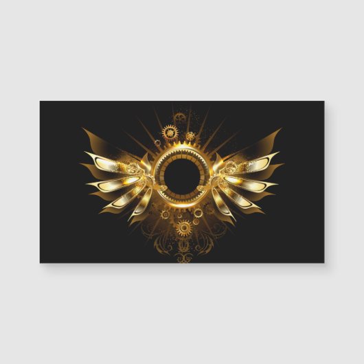 Steampunk wings (Front)