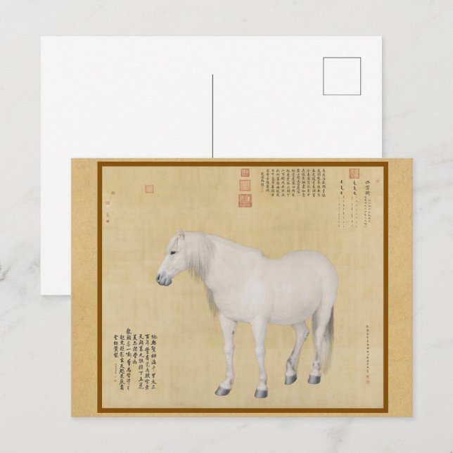 Steed - A Horse Named Benxiaocong Chinese Fine Art Postcard (Front/Back)