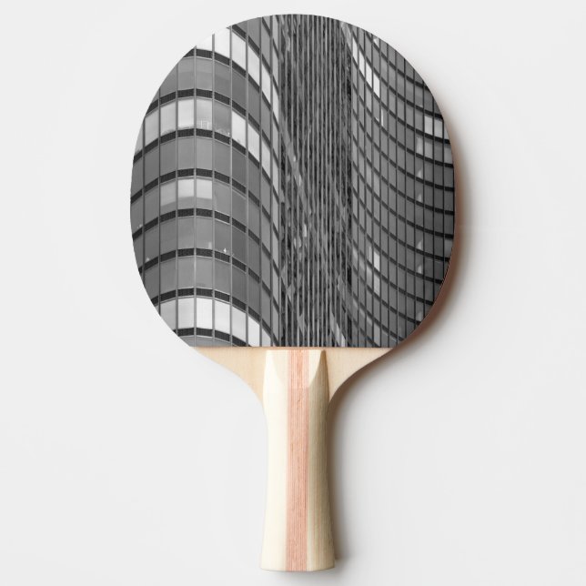 Steel and glass curtain wall of modern Ping-Pong paddle (Front)