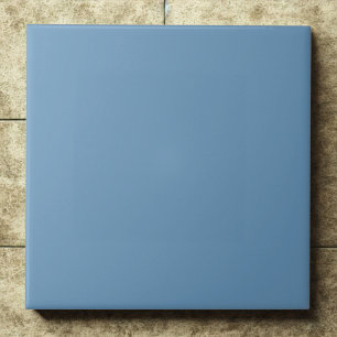 Steel Blue #6897bb Cool Modern Interior Ceramic Tile