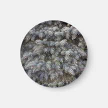 Steel, grey, green and blue spruce classy  button