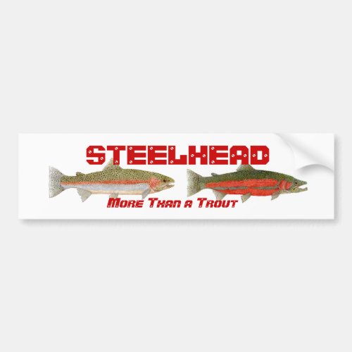 Steelhead Bumper Sticker