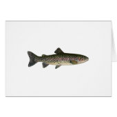 Steelhead (Great Lakes) (Front Horizontal)