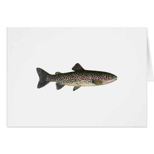 Steelhead (Great Lakes) (Front Horizontal)