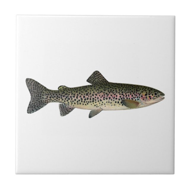 Steelhead (Great Lakes) Tile (Front)