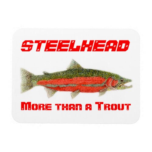 Steelhead_ More than a Trout Magnet