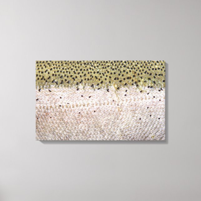 Steelhead on Canvas Print (Front)