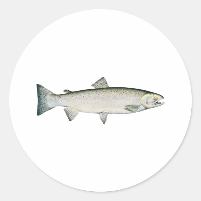 Steelhead Rainbow Trout Classic Round Sticker (Front)
