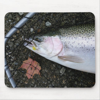 Steelhead Rainbow Trout Fly Fishing Mouse Pad