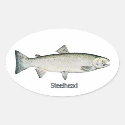 Steelhead Rainbow Trout Oval Sticker