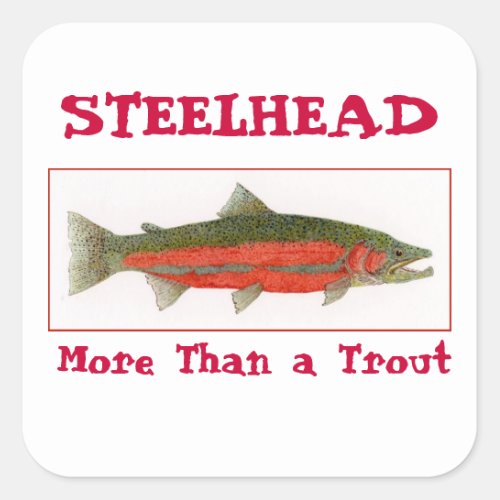 Steelhead Sticker