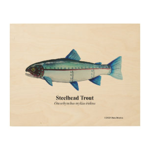 Steelhead Trout: Wood Print; 14x11 Wall Art
