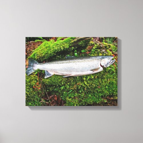 Steelhead Trout Wrapped Canvas Print