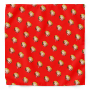 Steelpan on Red Bandana