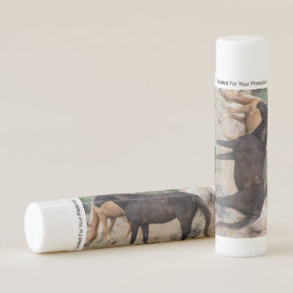 Steens Mustang Lip Balm