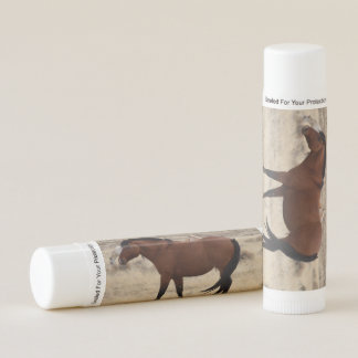 Steens Mustang Lip Balm