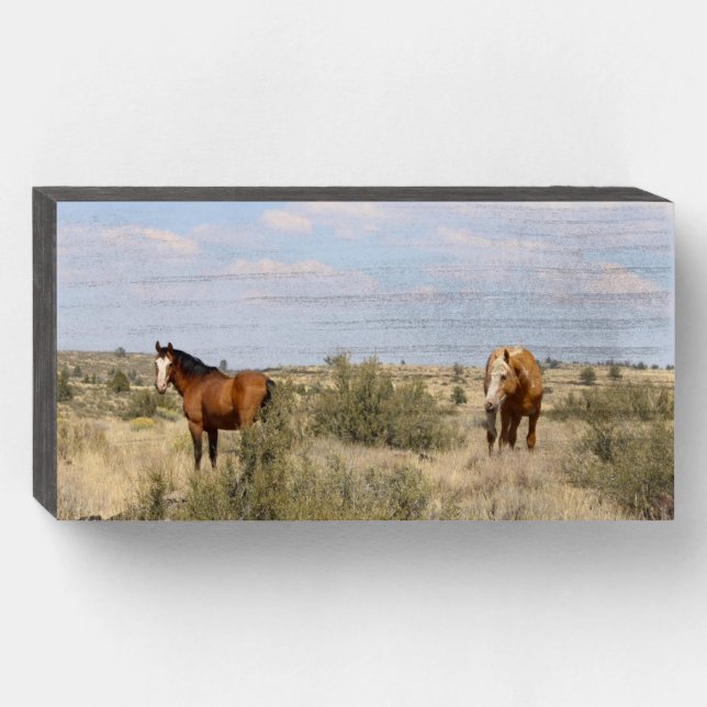 Steens Stallions Wooden Box (Front Horizontal)