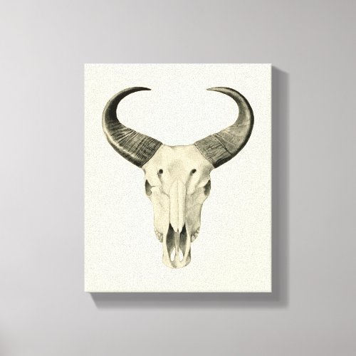 Steer Skull Canvas Print