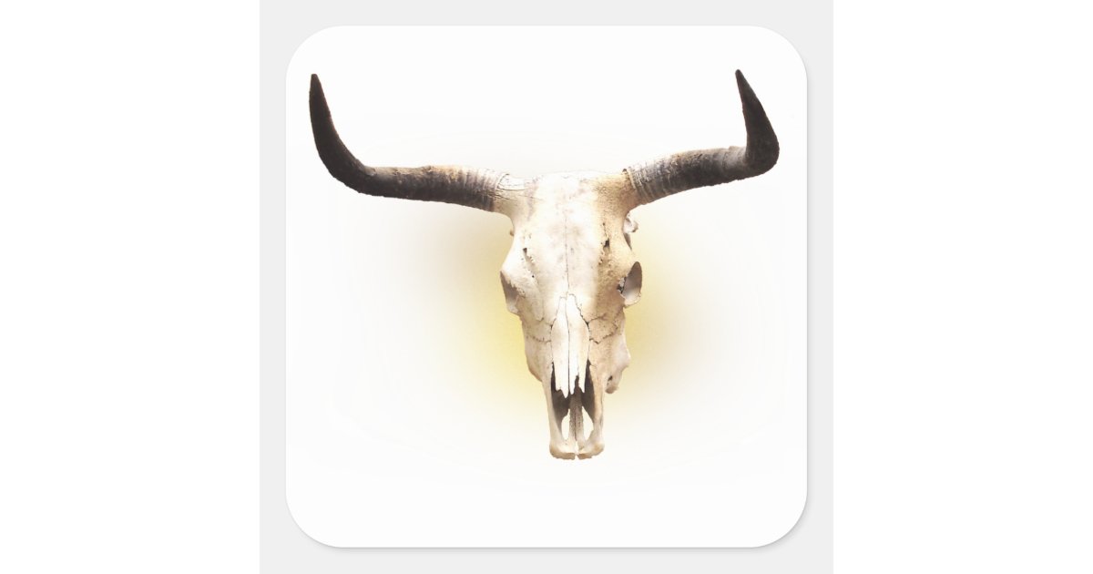 Steer Skull Sticker Zazzle Com