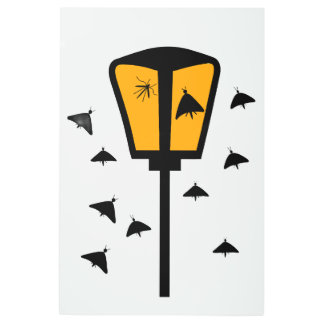 Steet Light And Flying Moths Metal Wall Art
