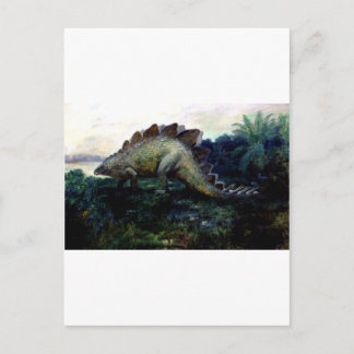 stegosaurus-4 postcard