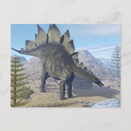 Stegosaurus Dinosaur - 3d Render Postcard