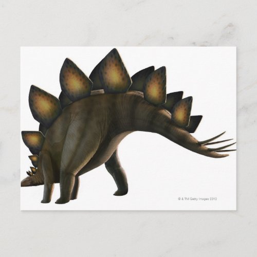 Stegosaurus dinosaur computer artwork postcard