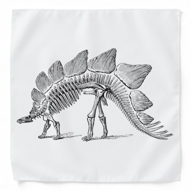 Stegosaurus Dinosaur Skeleton Fossil Bandana (Front)