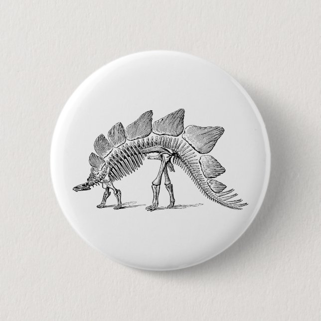 Stegosaurus Dinosaur Skeleton Fossil Button (Front)