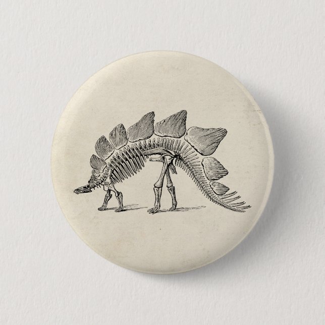 Stegosaurus Dinosaur Skeleton Fossil Button (Front)
