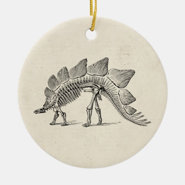 Stegosaurus Dinosaur Skeleton Fossil Ceramic Ornament (Front)