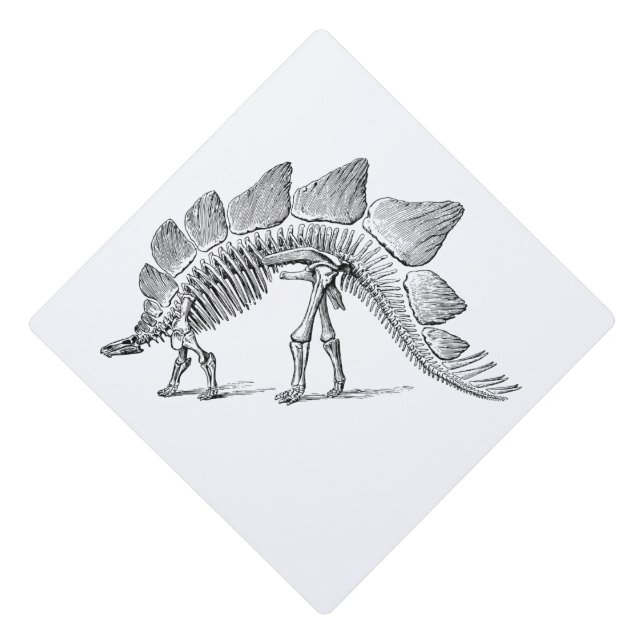 Stegosaurus Dinosaur Skeleton Fossil Graduation Cap Topper (Front)