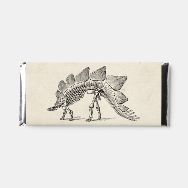 Stegosaurus Dinosaur Skeleton Fossil Hershey Bar Favors (Front)