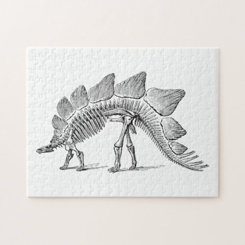Stegosaurus Dinosaur Skeleton Fossil Jigsaw Puzzle